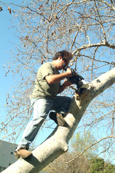 1-23-2005 2-06-18 PM